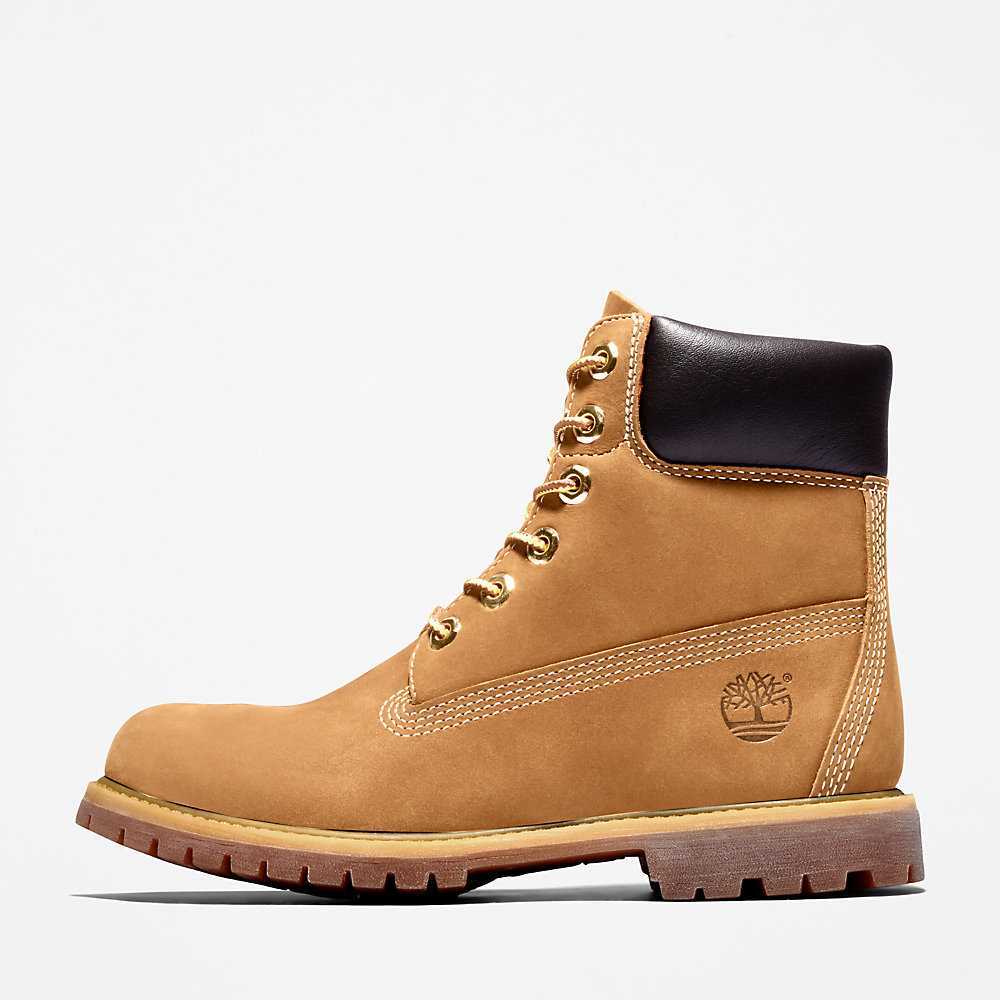 Brown Women's Timberland Premium® 6 Inch Waterproof Boots | Israel-0617589