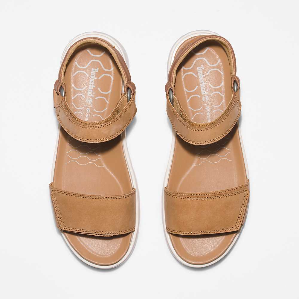 Brown Women's Timberland Ray City Sandals | Israel-9537402