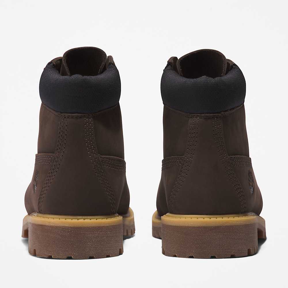 Dark Brown Kids' Timberland Premium® 6 Inch Waterproof Boots | Israel-4219588