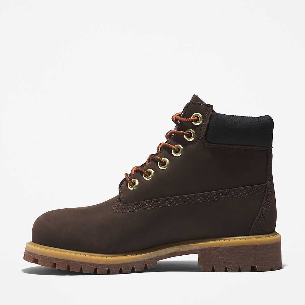 Dark Brown Kids' Timberland Premium® 6 Inch Waterproof Boots | Israel-4219588