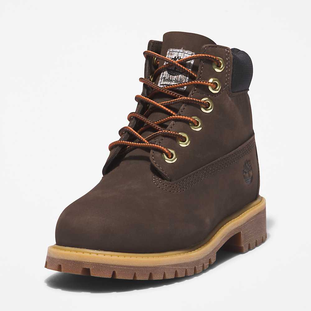 Dark Brown Kids' Timberland Premium® 6 Inch Waterproof Boots | Israel-4219588