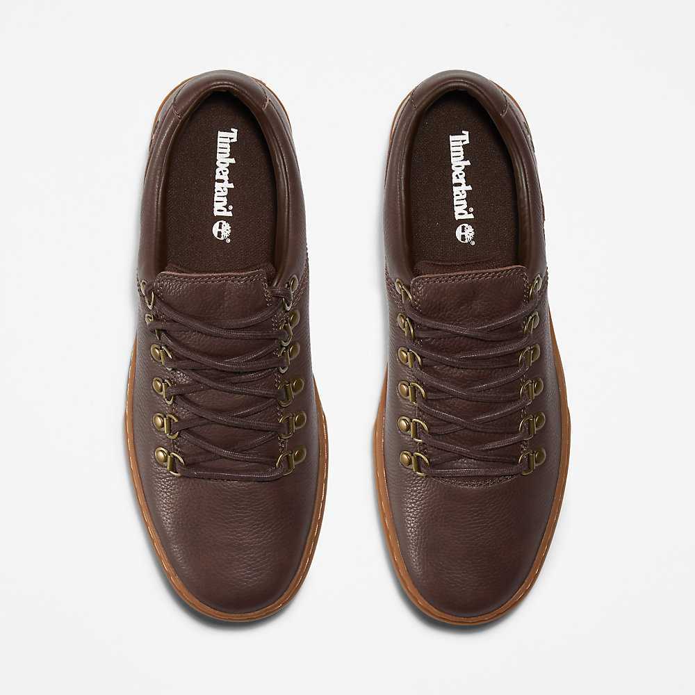 Dark Brown Men's Timberland Adventure 2.0 Cupsole Alpine Sneakers | Israel-0965731