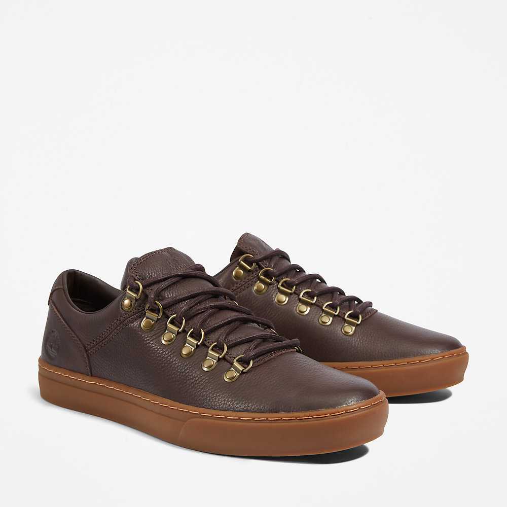 Dark Brown Men's Timberland Adventure 2.0 Cupsole Alpine Sneakers | Israel-0965731