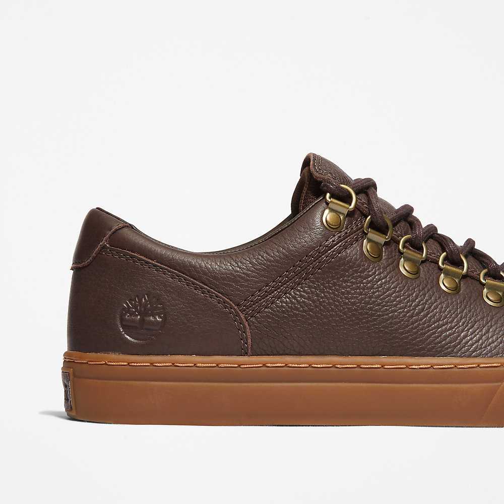 Dark Brown Men's Timberland Adventure 2.0 Cupsole Alpine Sneakers | Israel-0965731