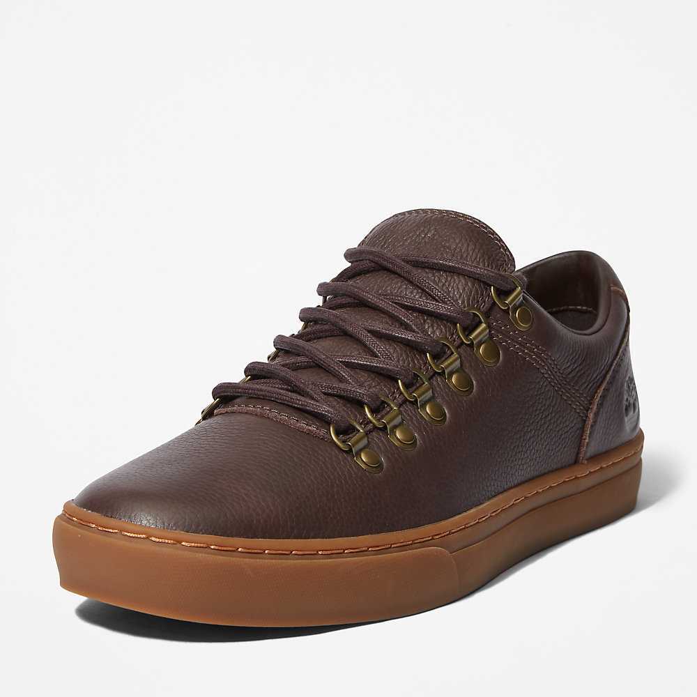 Dark Brown Men's Timberland Adventure 2.0 Cupsole Alpine Sneakers | Israel-0965731