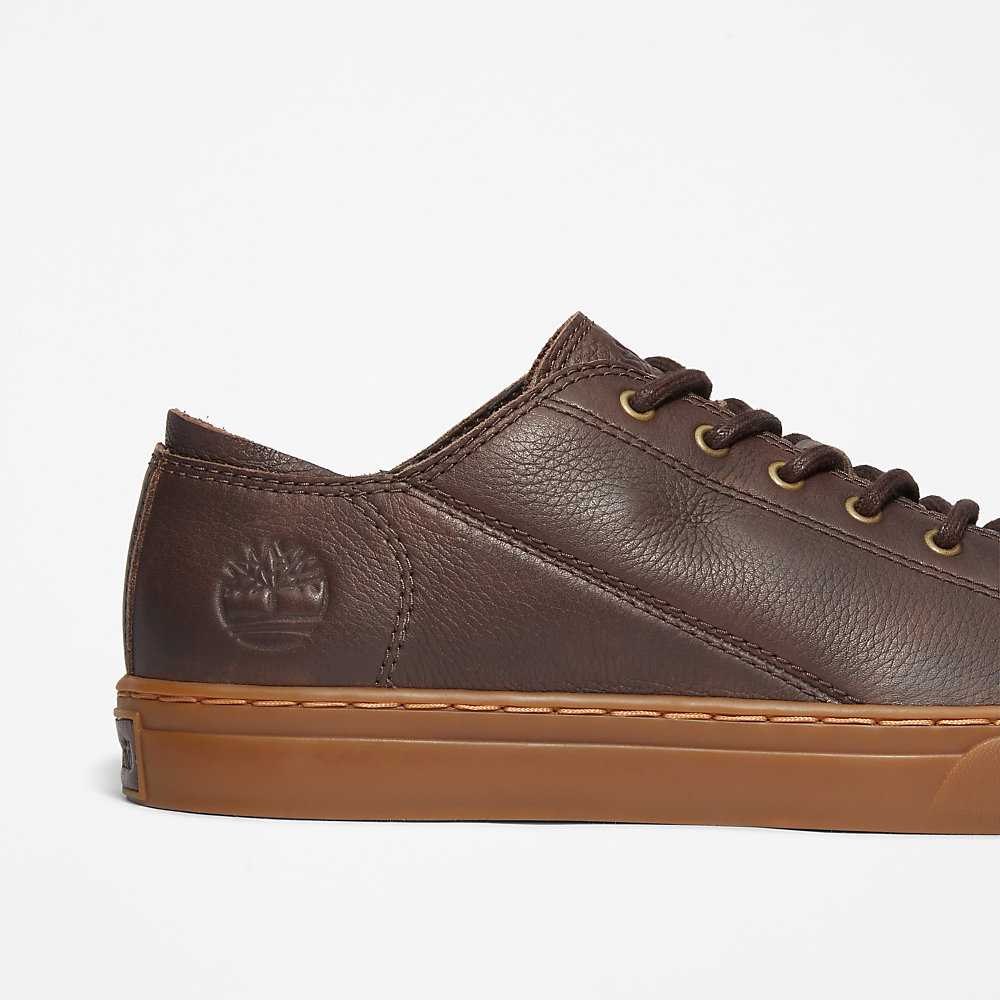 Dark Brown Men's Timberland Adventure 2.0 Sneakers | Israel-6082453