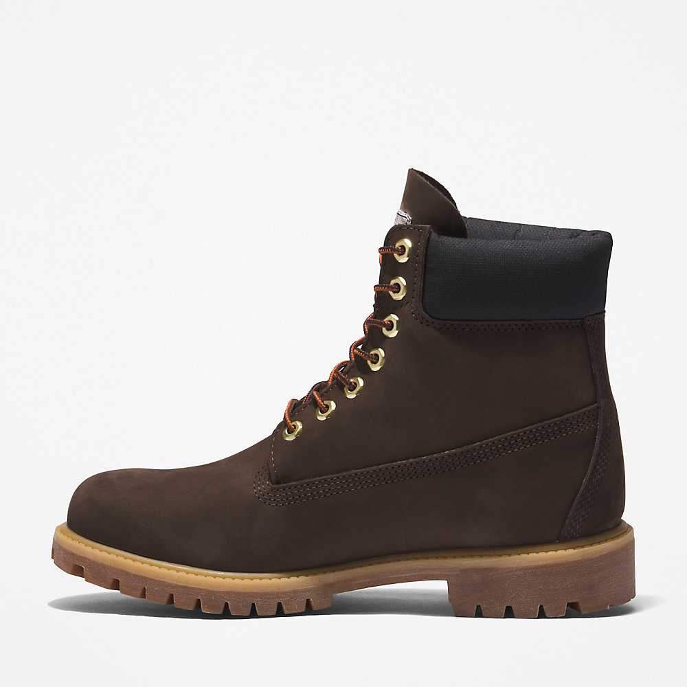 Dark Brown Men's Timberland Premium® 6 Inch Waterproof Boots | Israel-9083576