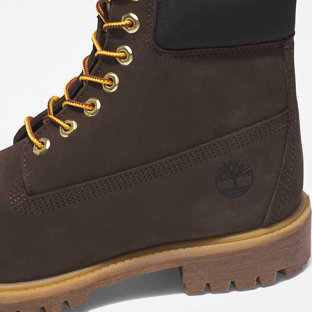 Dark Brown Men's Timberland Premium® 6 Inch Waterproof Boots | Israel-9083576