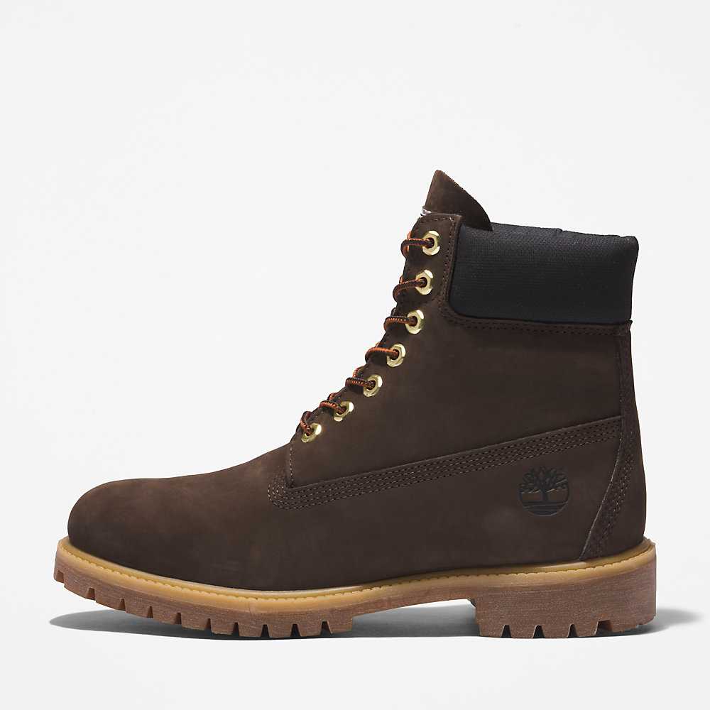 Dark Brown Men's Timberland Premium® 6 Inch Waterproof Boots | Israel-9083576