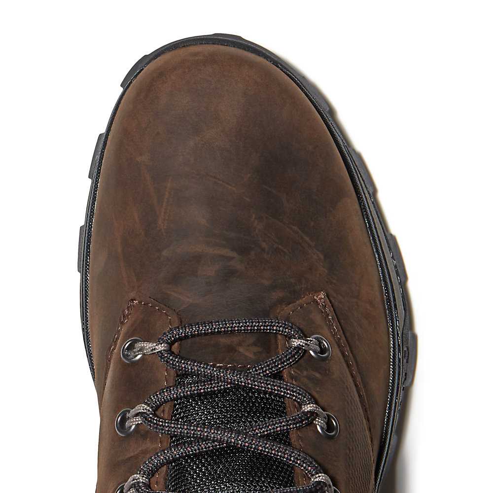 Dark Brown Men's Timberland Treeline Hiking Boots | Israel-8679051