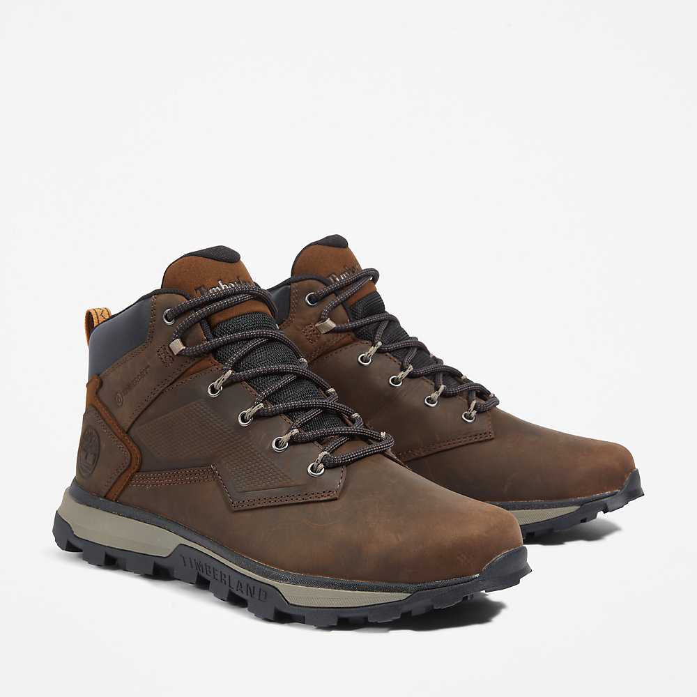 Dark Brown Men's Timberland Treeline Hiking Boots | Israel-8679051