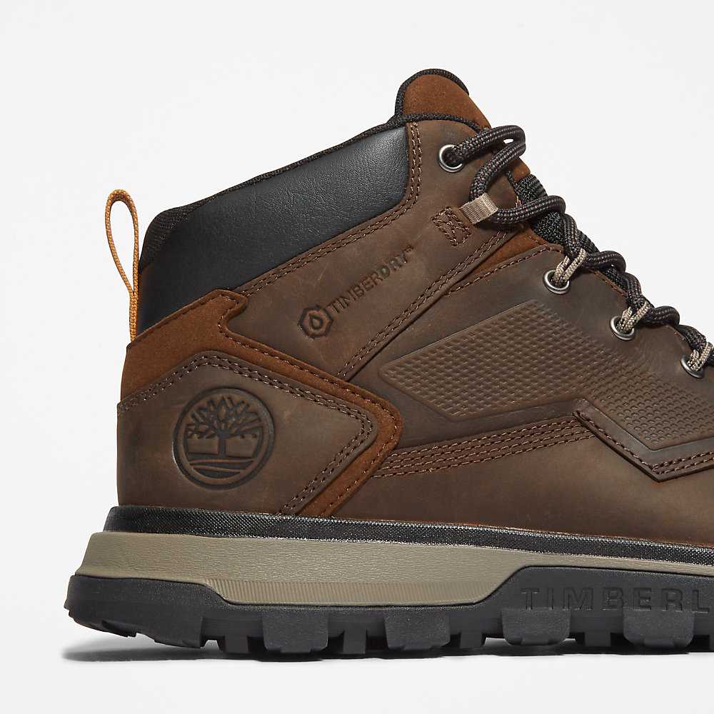 Dark Brown Men's Timberland Treeline Hiking Boots | Israel-8679051