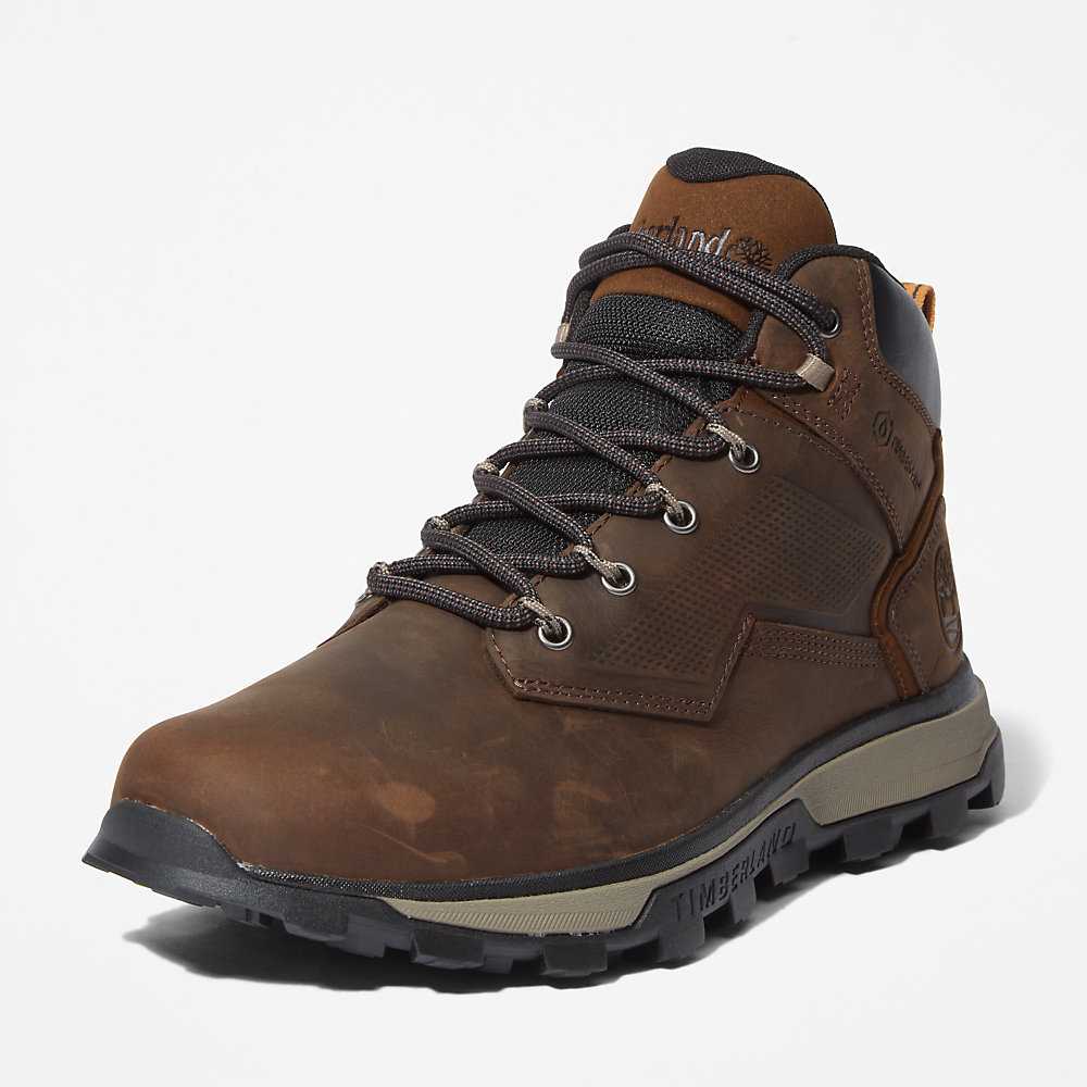 Dark Brown Men's Timberland Treeline Hiking Boots | Israel-8679051