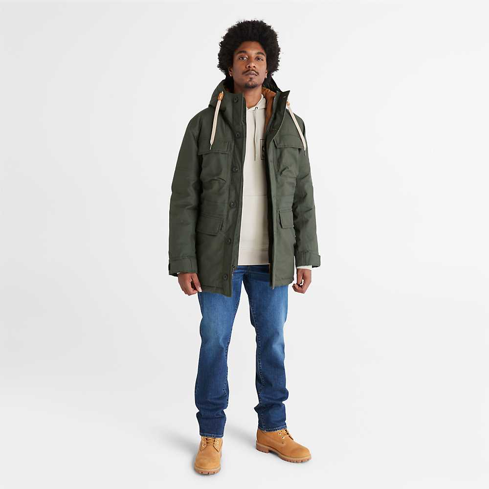 Dark Green Men's Timberland Expedition Parka Jackets | Israel-5348267