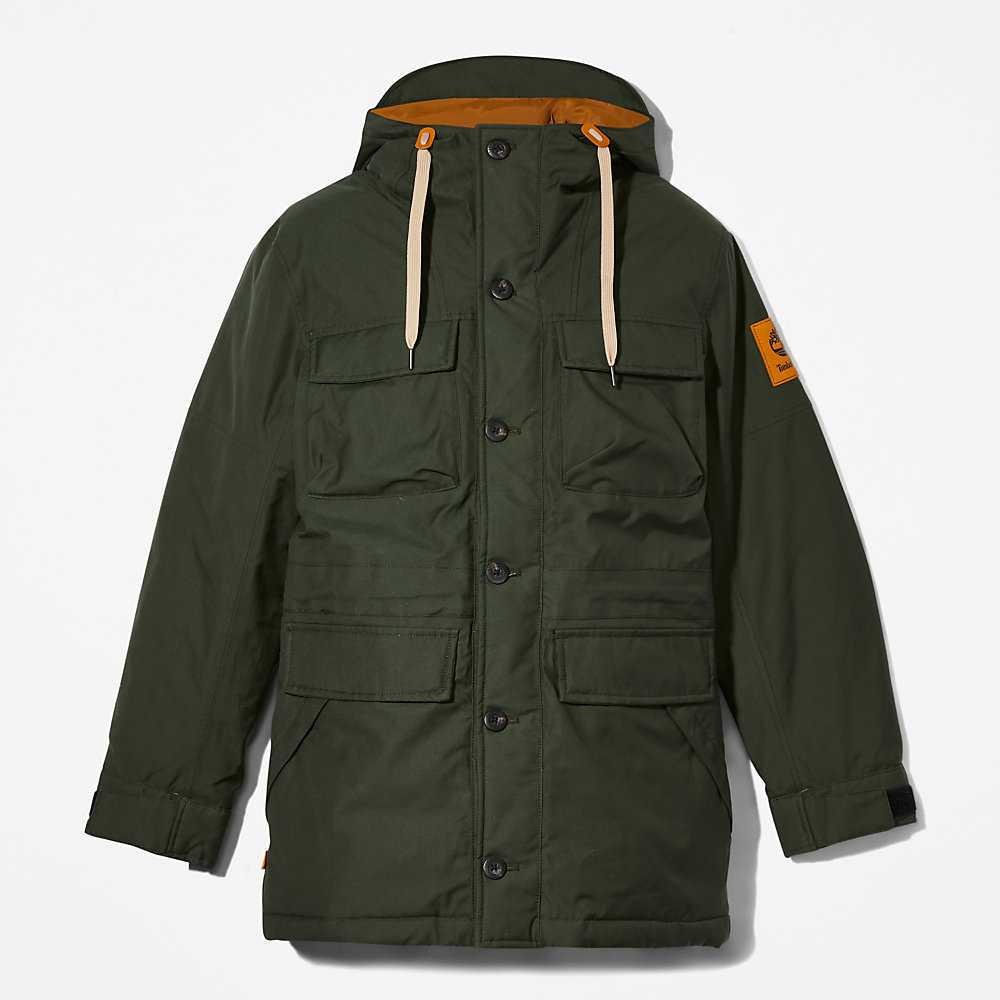 Dark Green Men's Timberland Expedition Parka Jackets | Israel-5348267