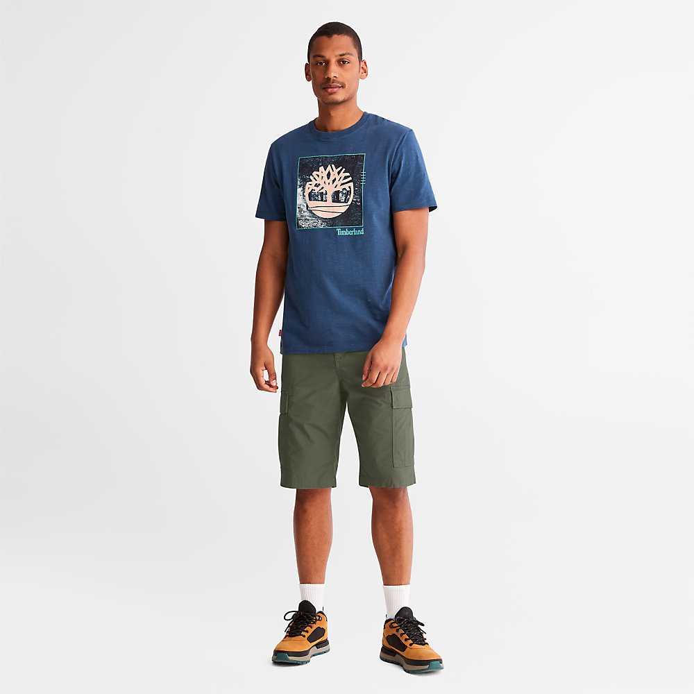 Dark Green Men's Timberland Poplin Cargo Shorts | Israel-4763850