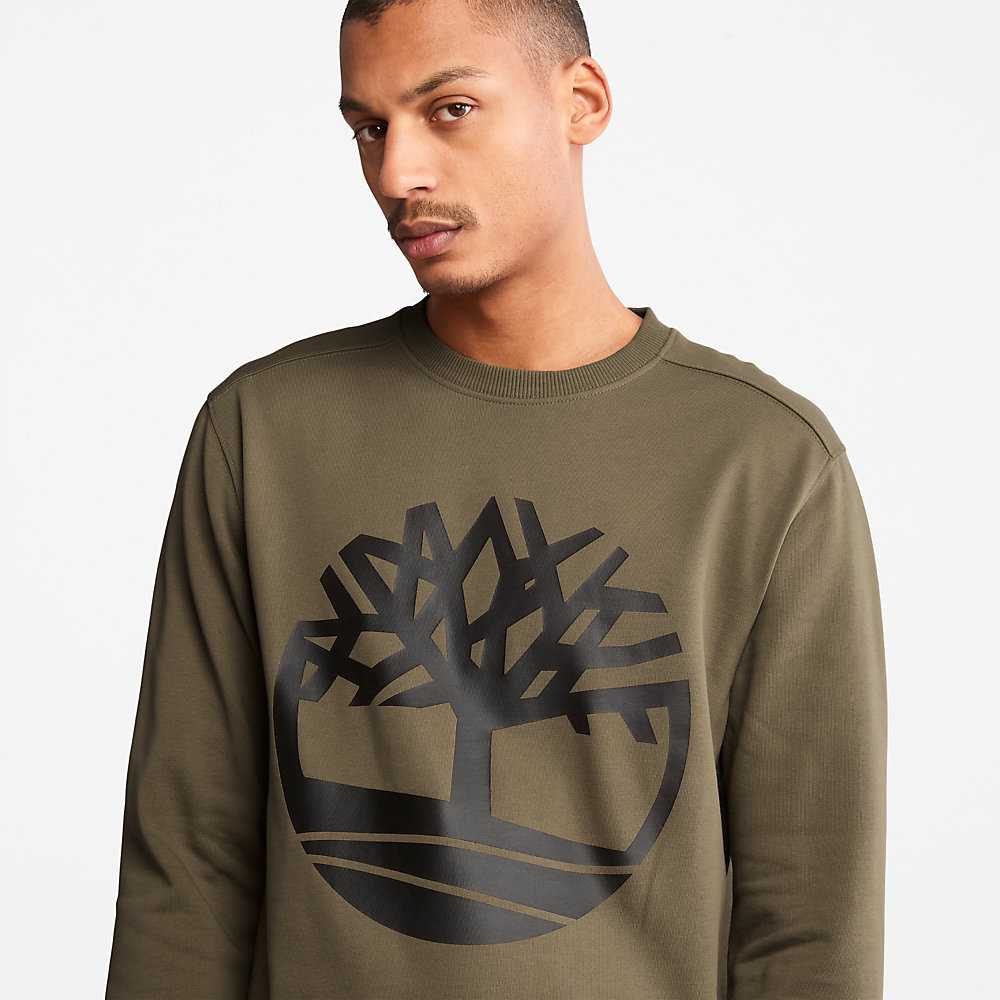 Dark Green Men's Timberland ree-Logo Sweatshirt | Israel-4639857