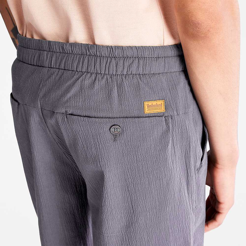 Dark Grey Men's Timberland Squam Lake Shorts | Israel-6385907