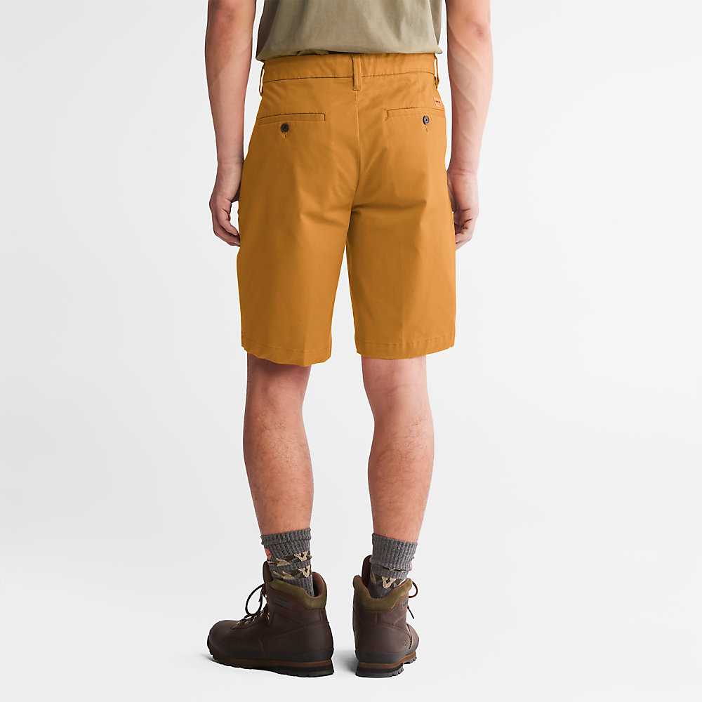 Dark Yellow Men's Timberland Squam Lake Shorts | Israel-4137628