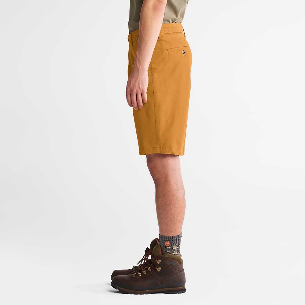 Dark Yellow Men's Timberland Squam Lake Shorts | Israel-4137628