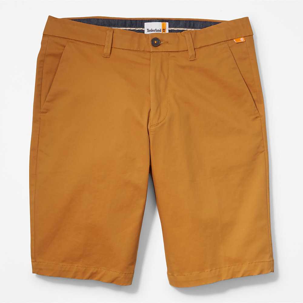 Dark Yellow Men's Timberland Squam Lake Shorts | Israel-4137628