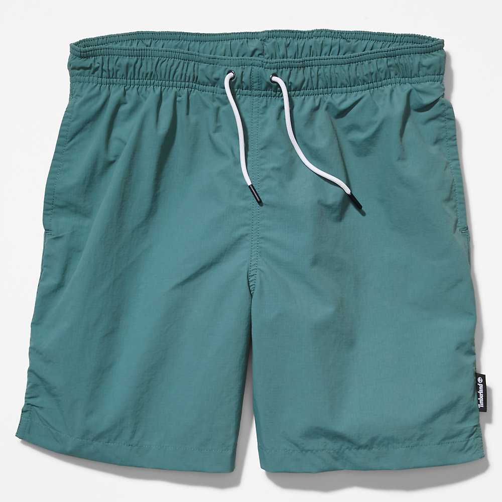 Green Men's Timberland All Gender Shorts | Israel-6940231