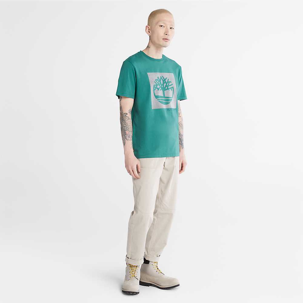 Green Men's Timberland Dotted Tree-logo T Shirts | Israel-3967215