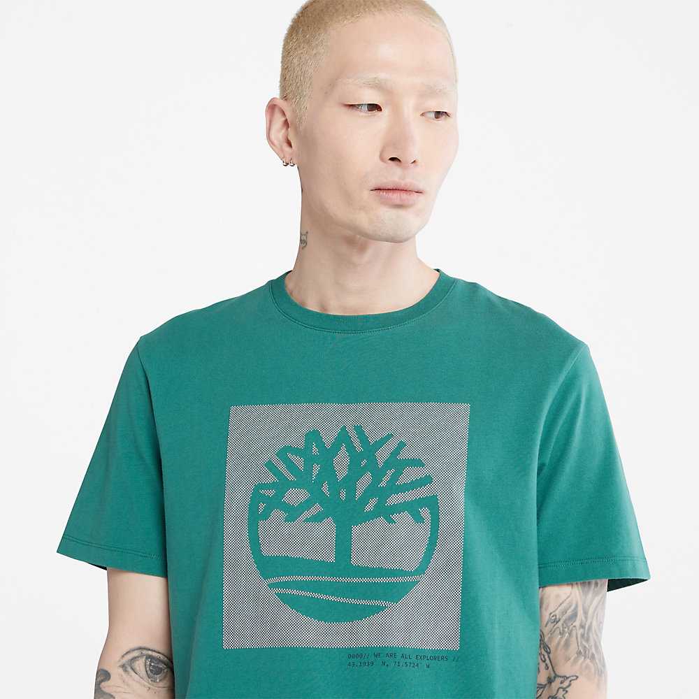 Green Men's Timberland Dotted Tree-logo T Shirts | Israel-3967215