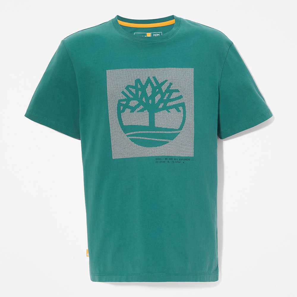 Green Men's Timberland Dotted Tree-logo T Shirts | Israel-3967215