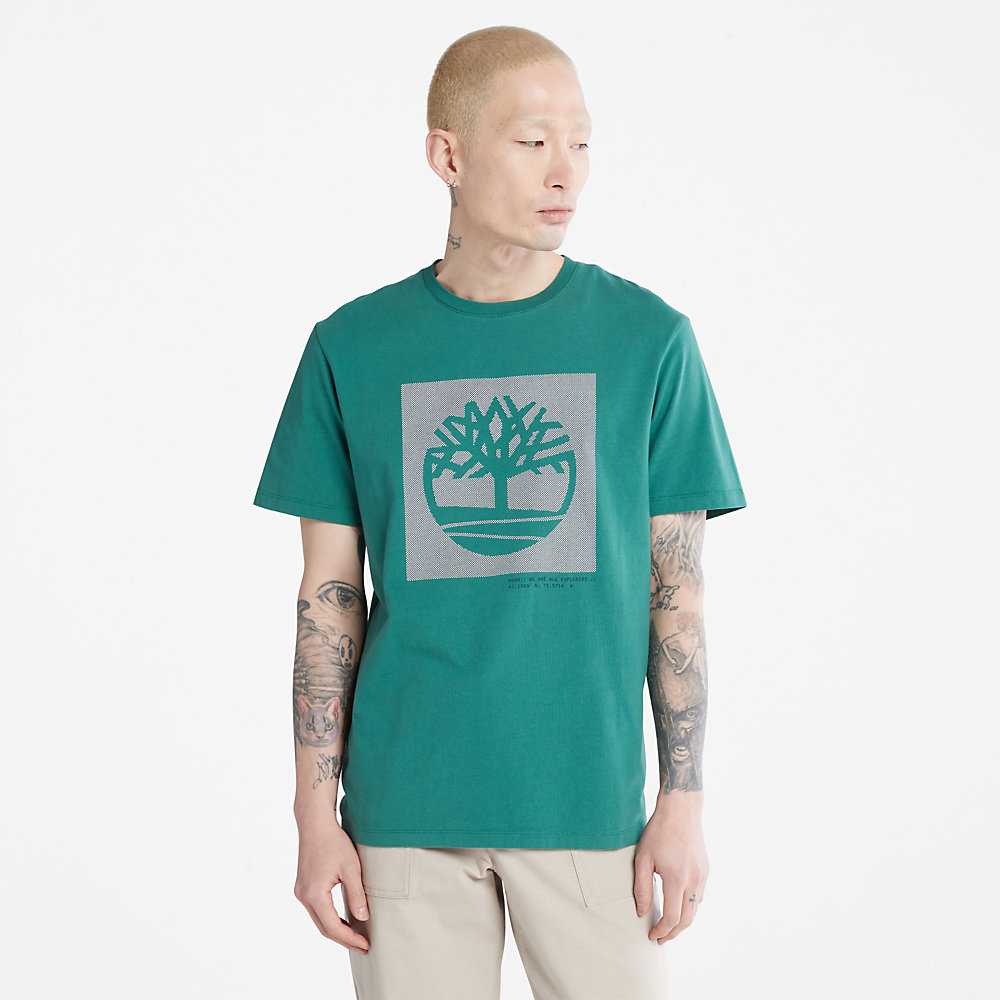 Green Men\'s Timberland Dotted Tree-logo T Shirts | Israel-3967215