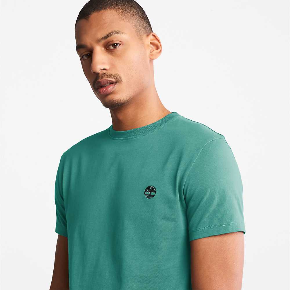 Green Men's Timberland Dunstan River T Shirts | Israel-1078296