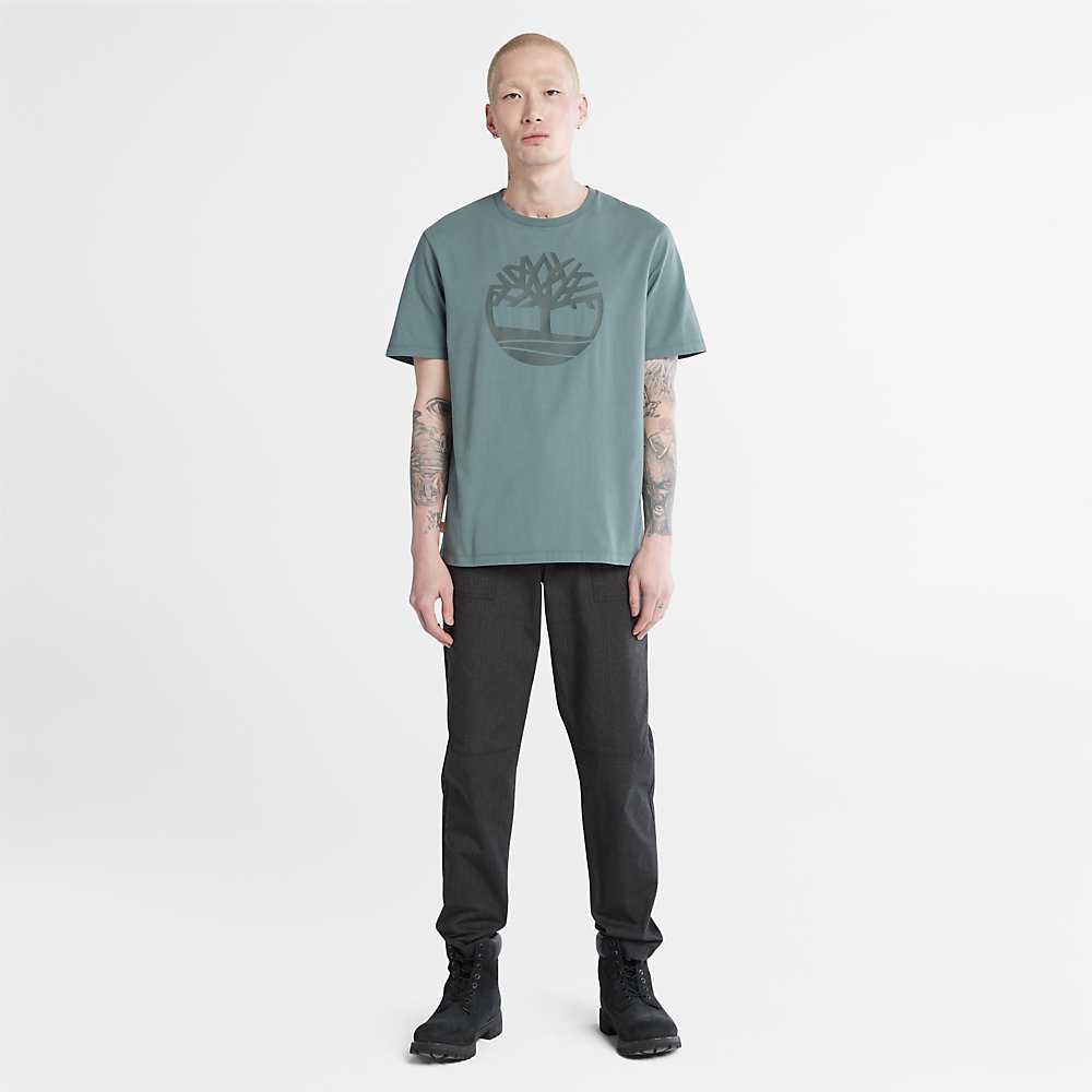 Green Men's Timberland Kennebec River T Shirts | Israel-3701428