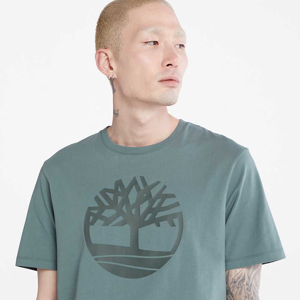 Green Men's Timberland Kennebec River T Shirts | Israel-3701428