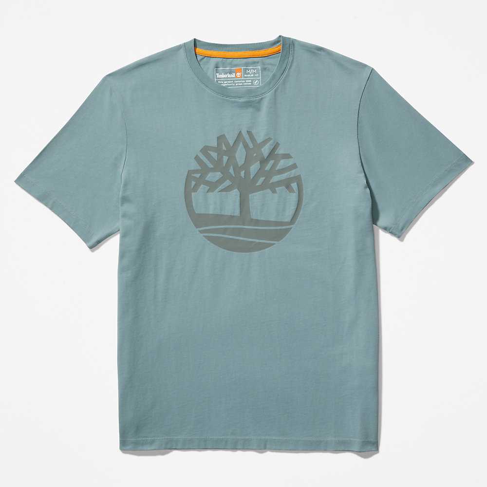 Green Men's Timberland Kennebec River T Shirts | Israel-3701428