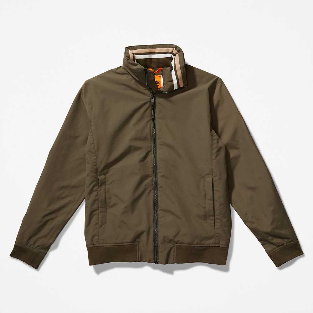 Green Men's Timberland Mount Lafayette Bomber Jacket | Israel-3091465