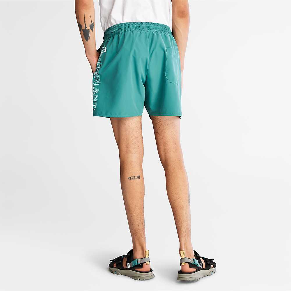 Green Men's Timberland Sunapee Lake Shorts | Israel-6302185