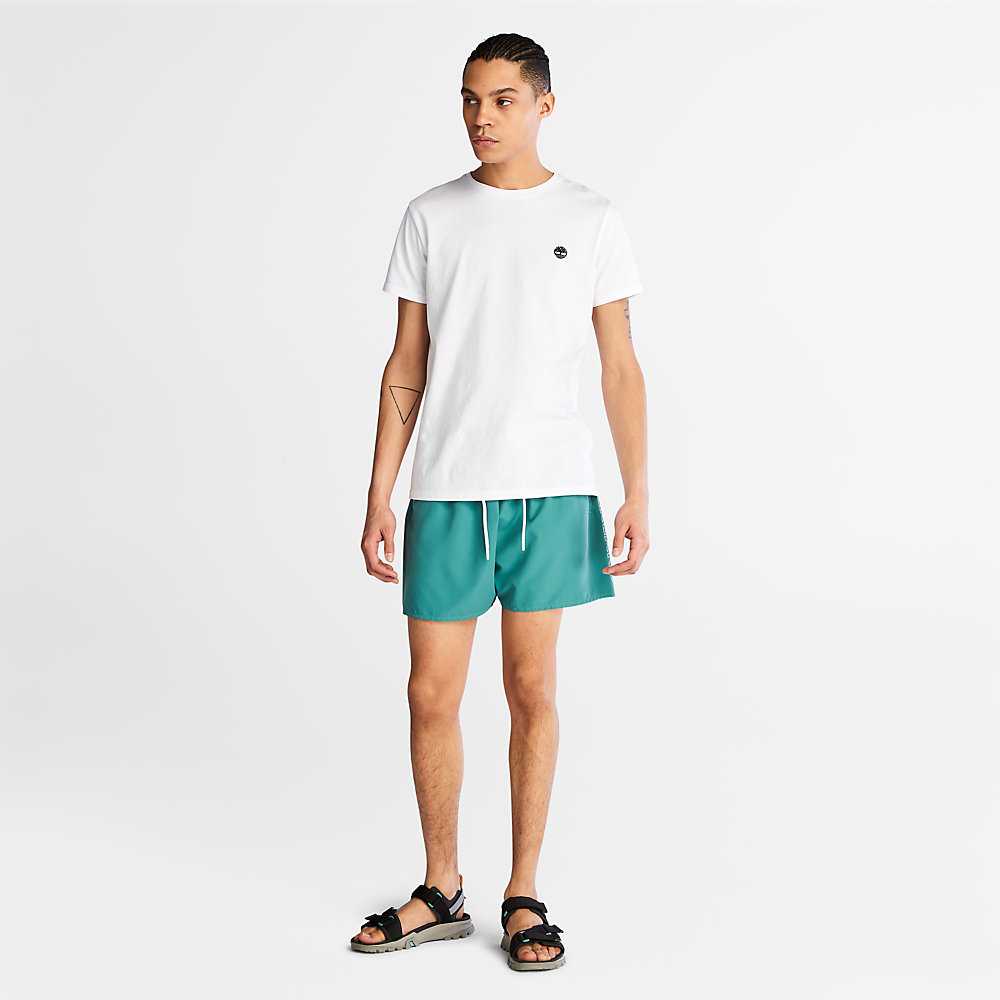 Green Men's Timberland Sunapee Lake Shorts | Israel-6302185