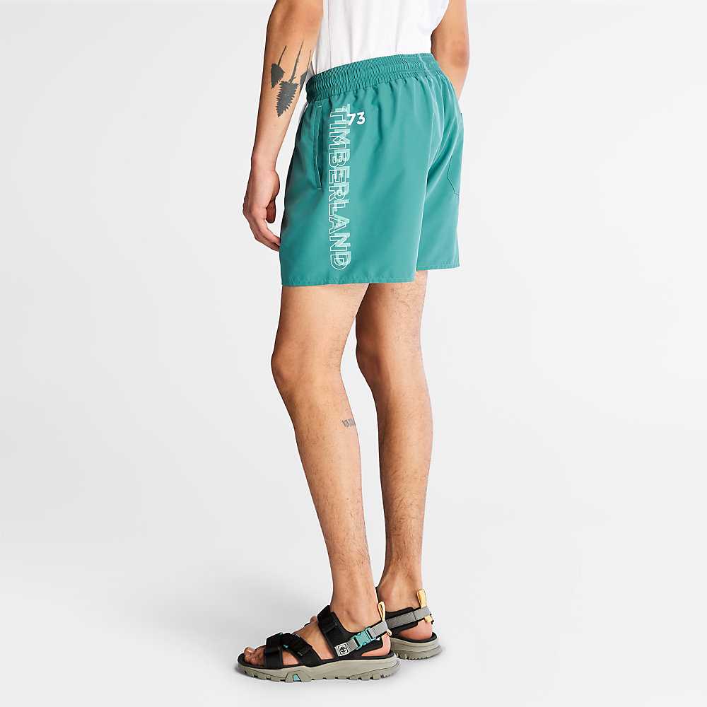 Green Men's Timberland Sunapee Lake Shorts | Israel-6302185