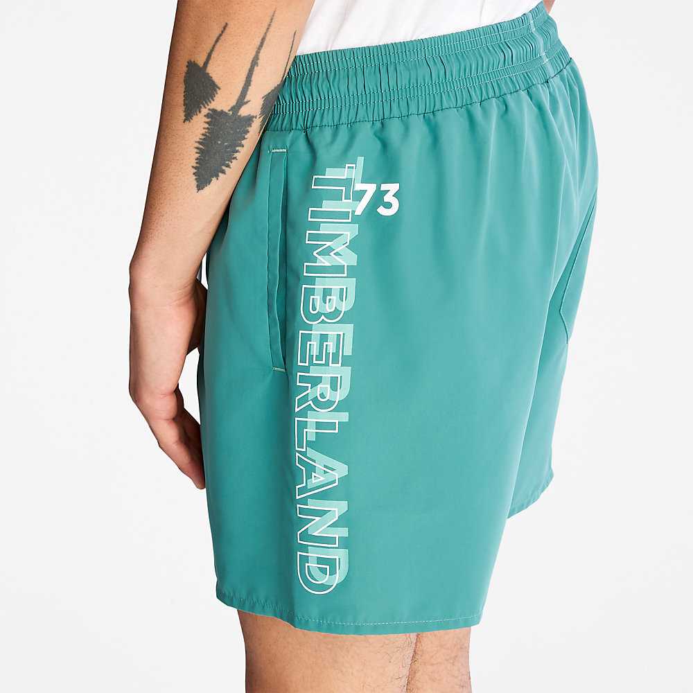 Green Men's Timberland Sunapee Lake Shorts | Israel-6302185