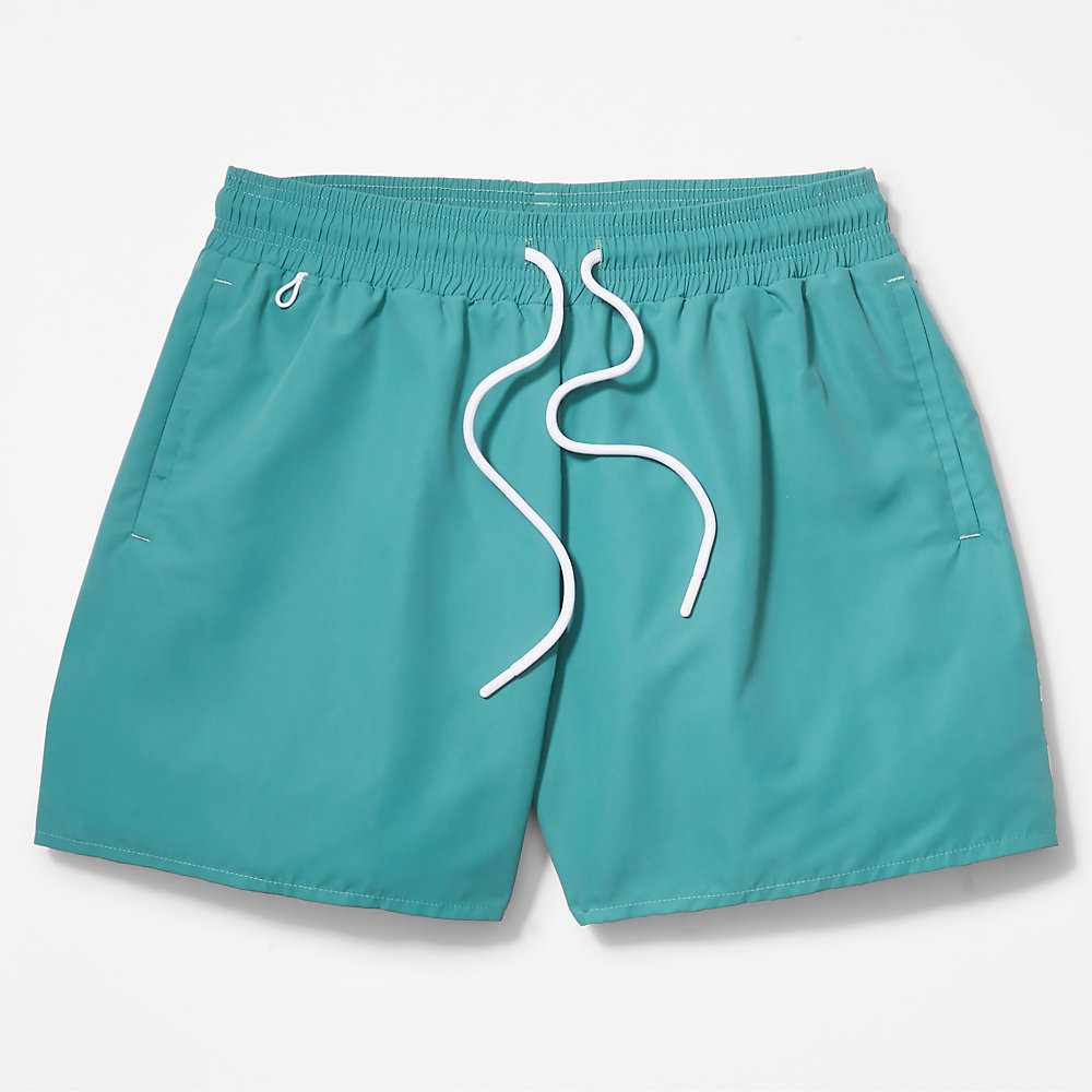 Green Men's Timberland Sunapee Lake Shorts | Israel-6302185