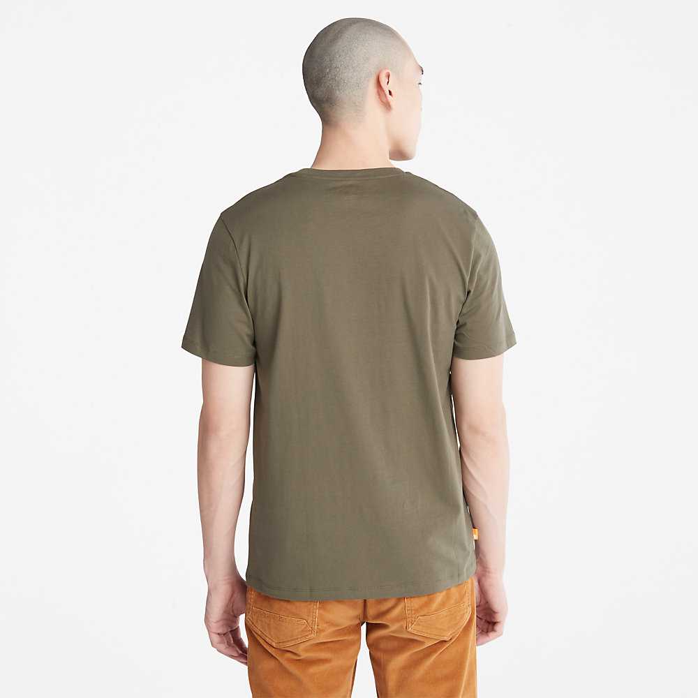 Green Men's Timberland Wind Water Earth And Sky T Shirts | Israel-4035617