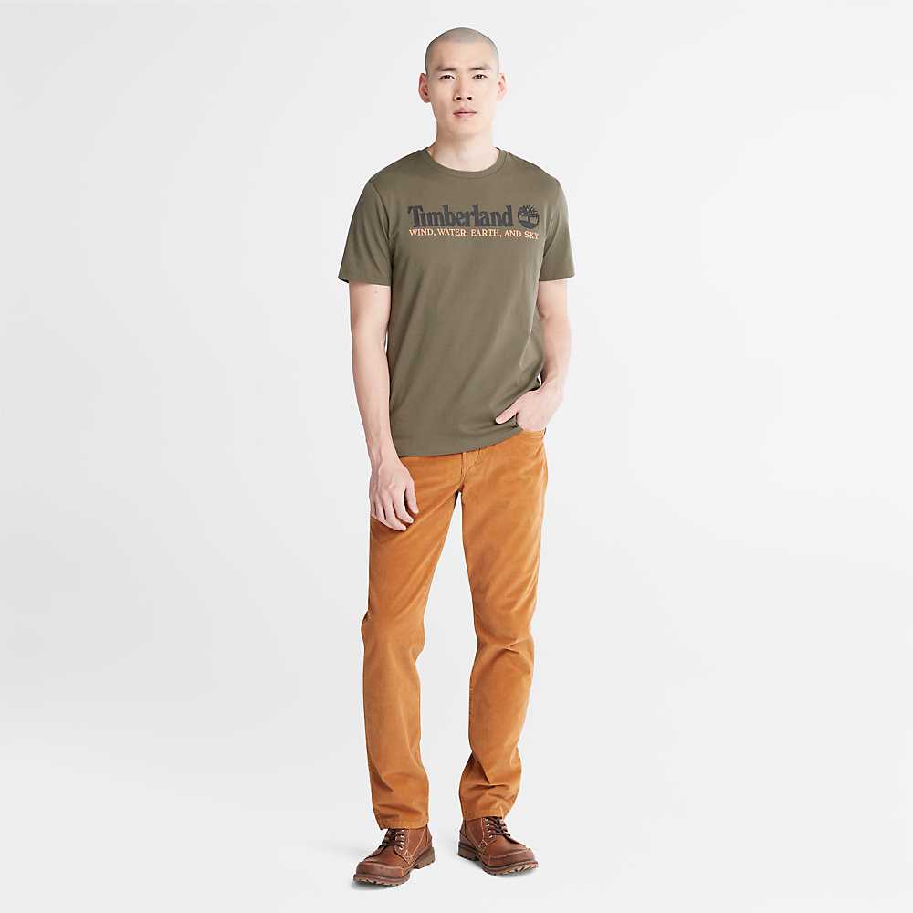 Green Men's Timberland Wind Water Earth And Sky T Shirts | Israel-4035617