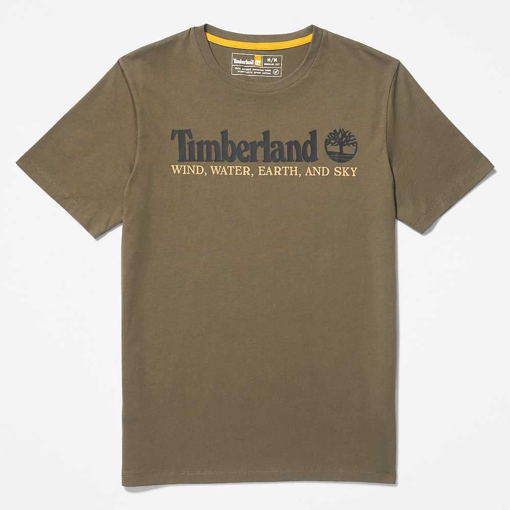 Green Men's Timberland Wind Water Earth And Sky T Shirts | Israel-4035617