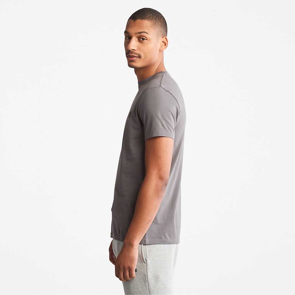 Grey Men's Timberland Dunstan River T Shirts | Israel-1653097