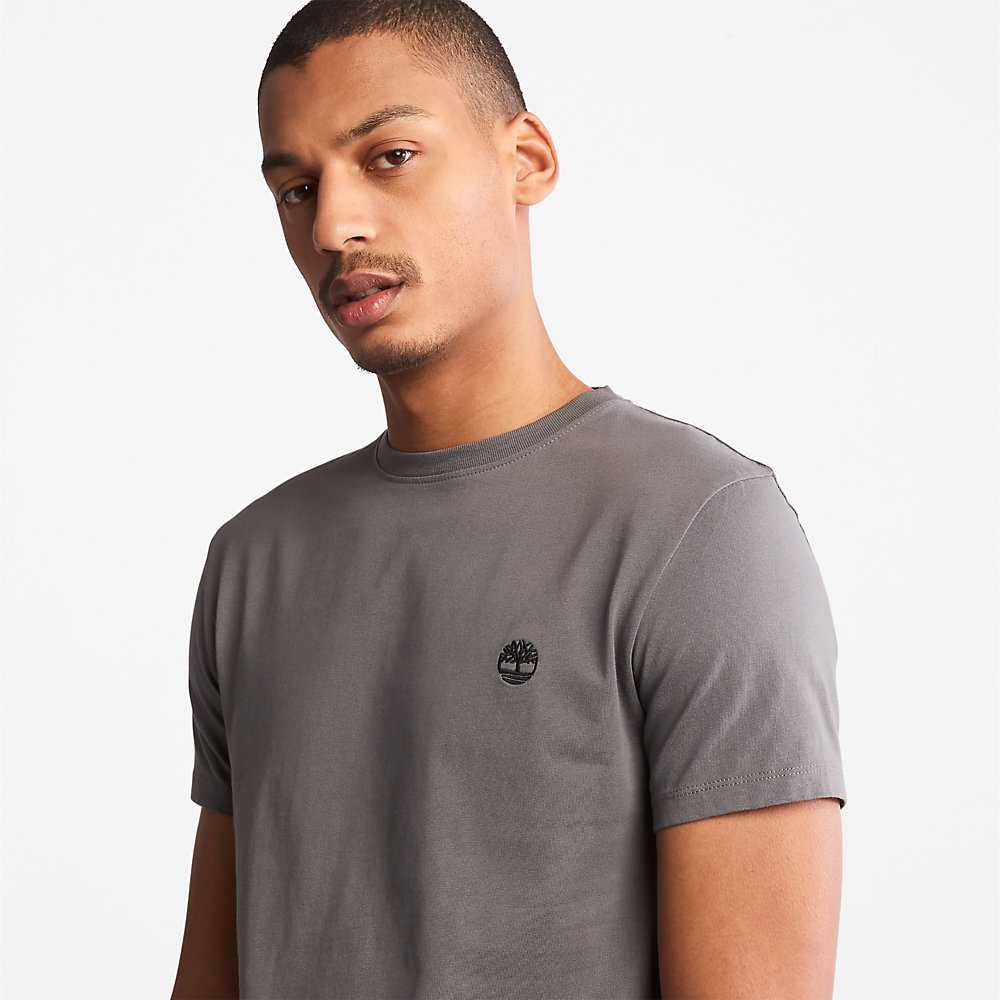 Grey Men's Timberland Dunstan River T Shirts | Israel-1653097