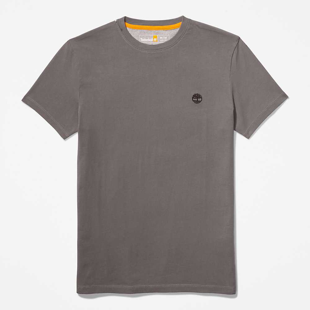 Grey Men's Timberland Dunstan River T Shirts | Israel-1653097