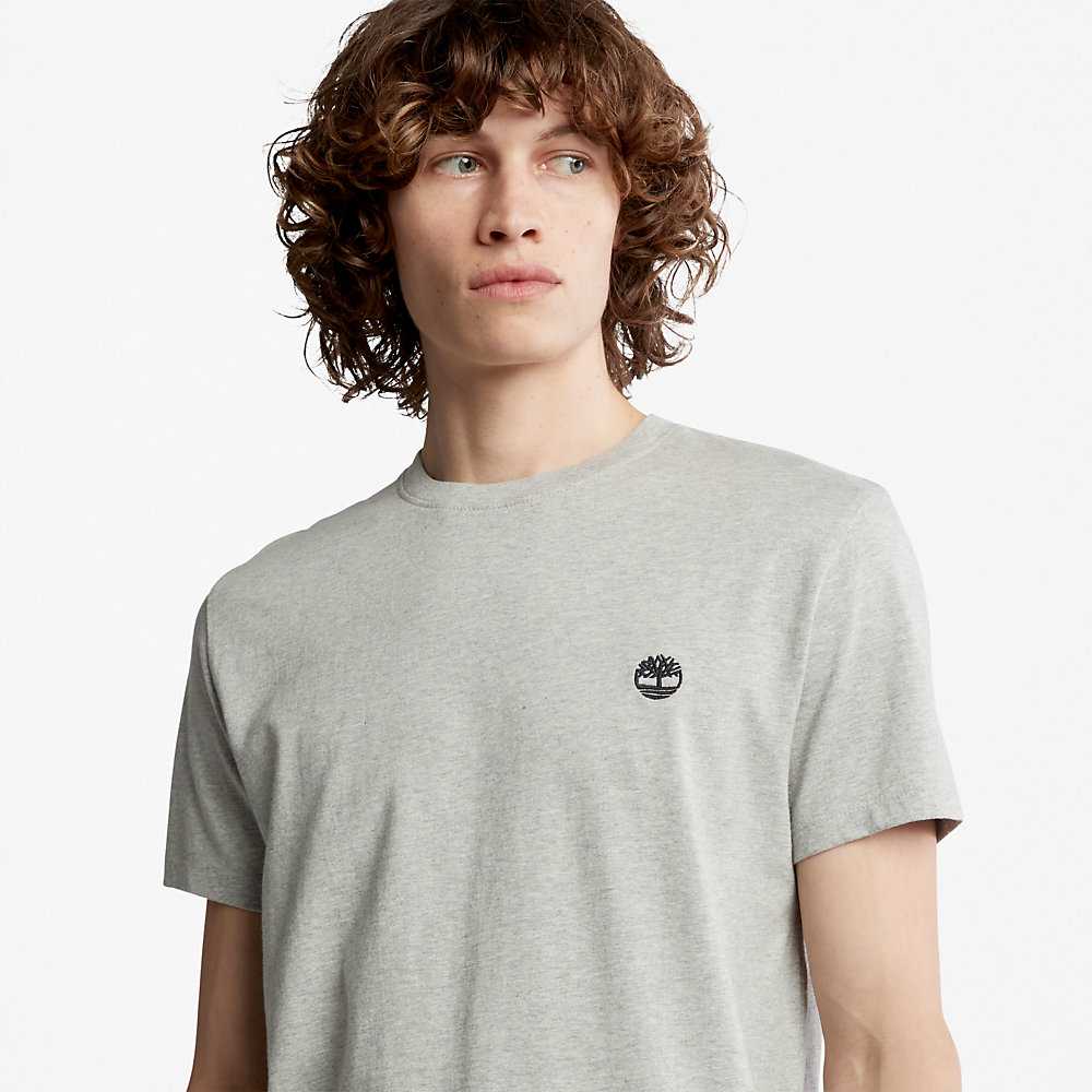 Grey Men's Timberland Dunstan River T Shirts | Israel-2586937