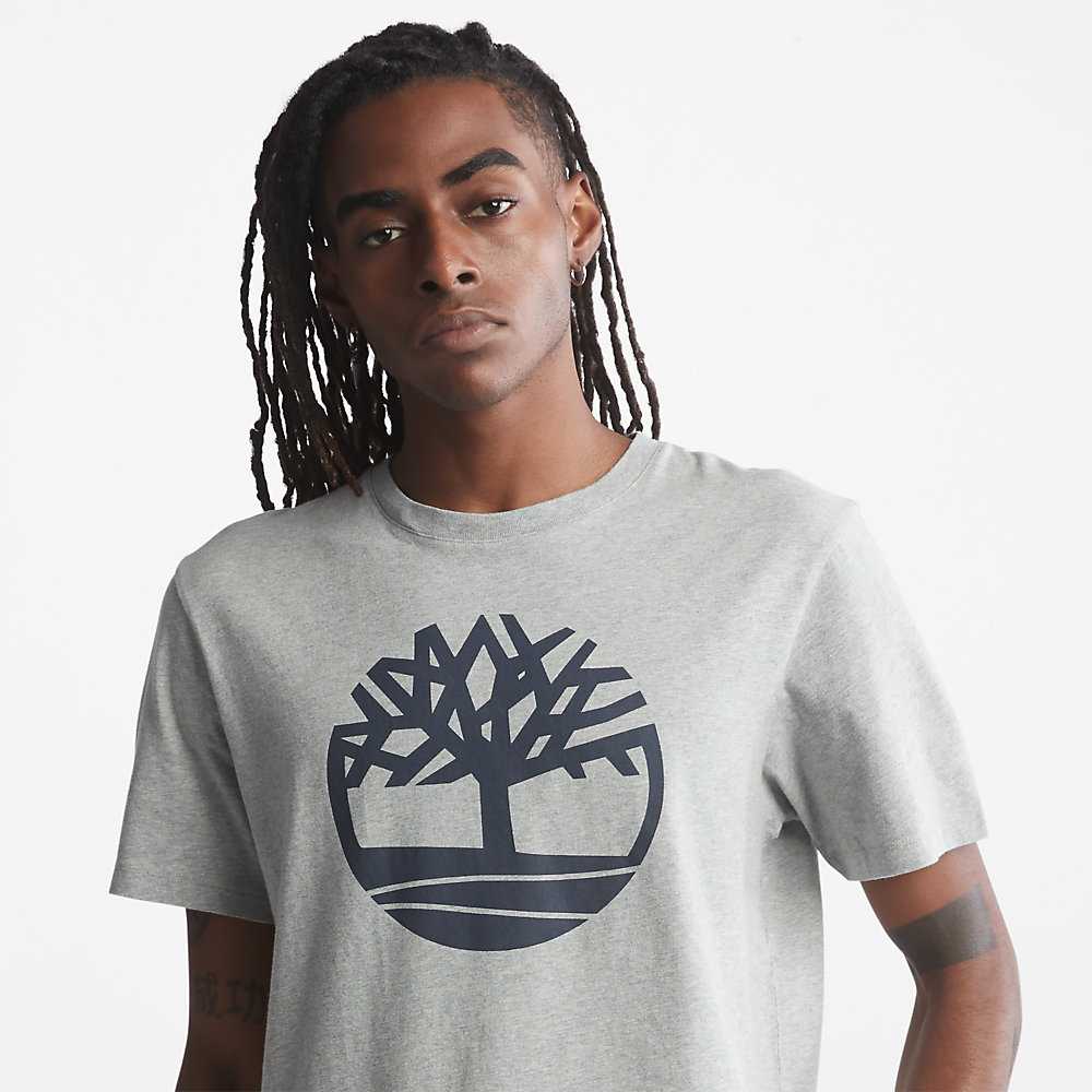 Grey Men's Timberland Kennebec River T Shirts | Israel-8015237