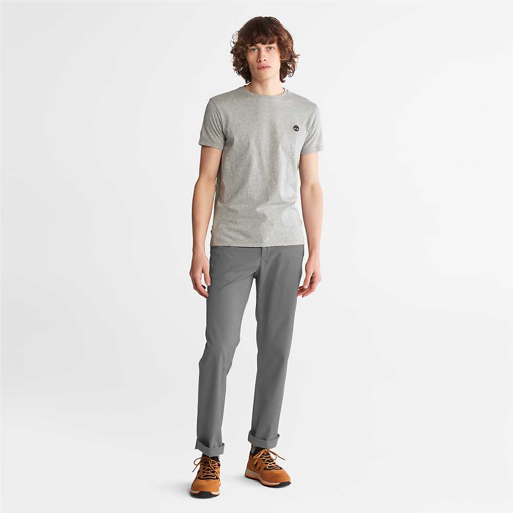 Grey Men's Timberland Squam Lake Chinos | Israel-9078214