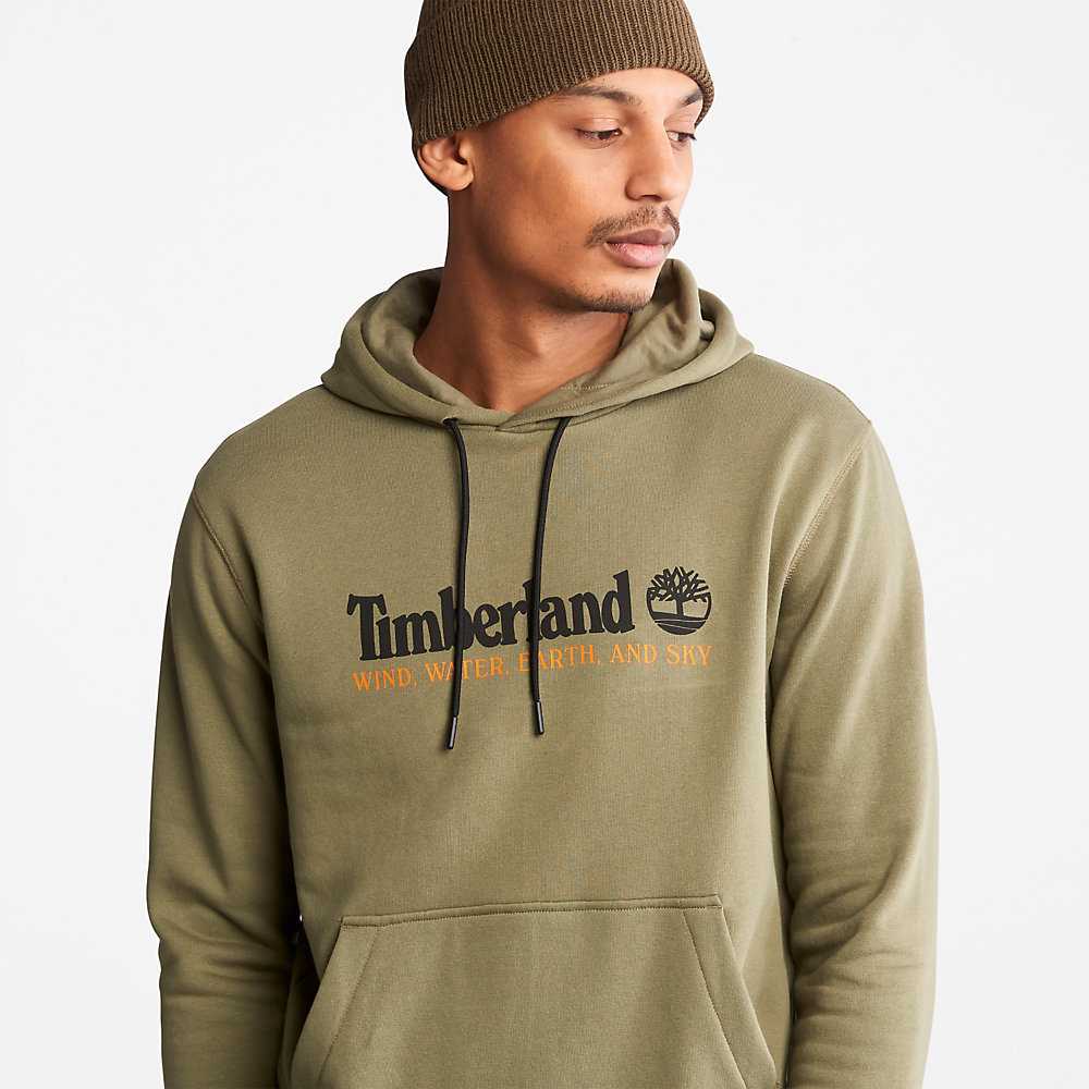 Grey Men's Timberland Wind Water Earth And Sky Hoodie | Israel-8759432